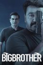Big Brother (Hindi Dubbed)