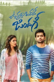 Vunnadhi Okate Zindagi (Hindi Dubbed)
